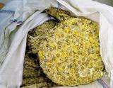 广州查处涉嫌打磺菊花业内人士称九成中药存滥用硫磺
