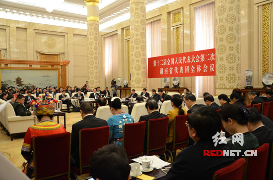 湖南代表团在北京人民大会堂湖南厅举行第二次全体会议，审议政府工作报告。