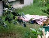 河南郑州小区一男子坠亡 无人认识尸体躺一上午