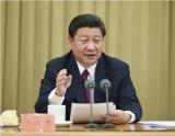 习近平:中央改革方案允许地方进行差别化探索
