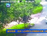 孙行政：北京八达岭野生动物园老虎咬人事件责任如何划分